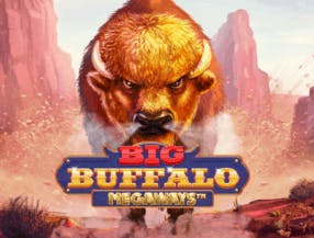 game logo by Skywind Group on sspinko.com