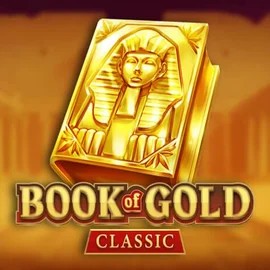 game logo by Playson on sspinko.com