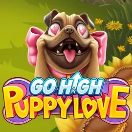 game logo by RubyPlay on sspinko.com